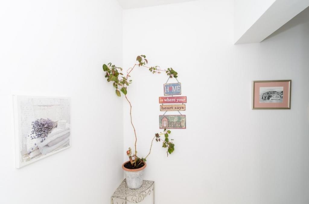 Ivo Guest house Dubrovnik
